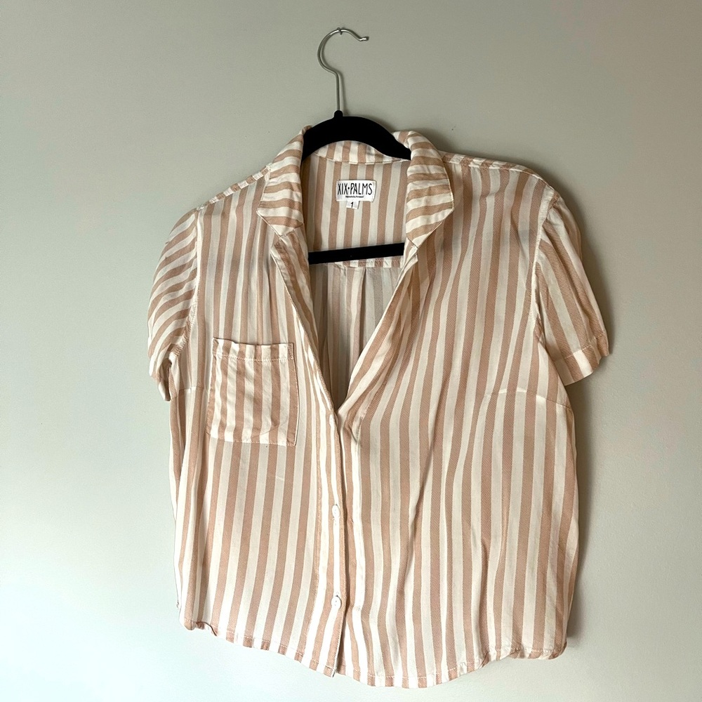 XIX palms top